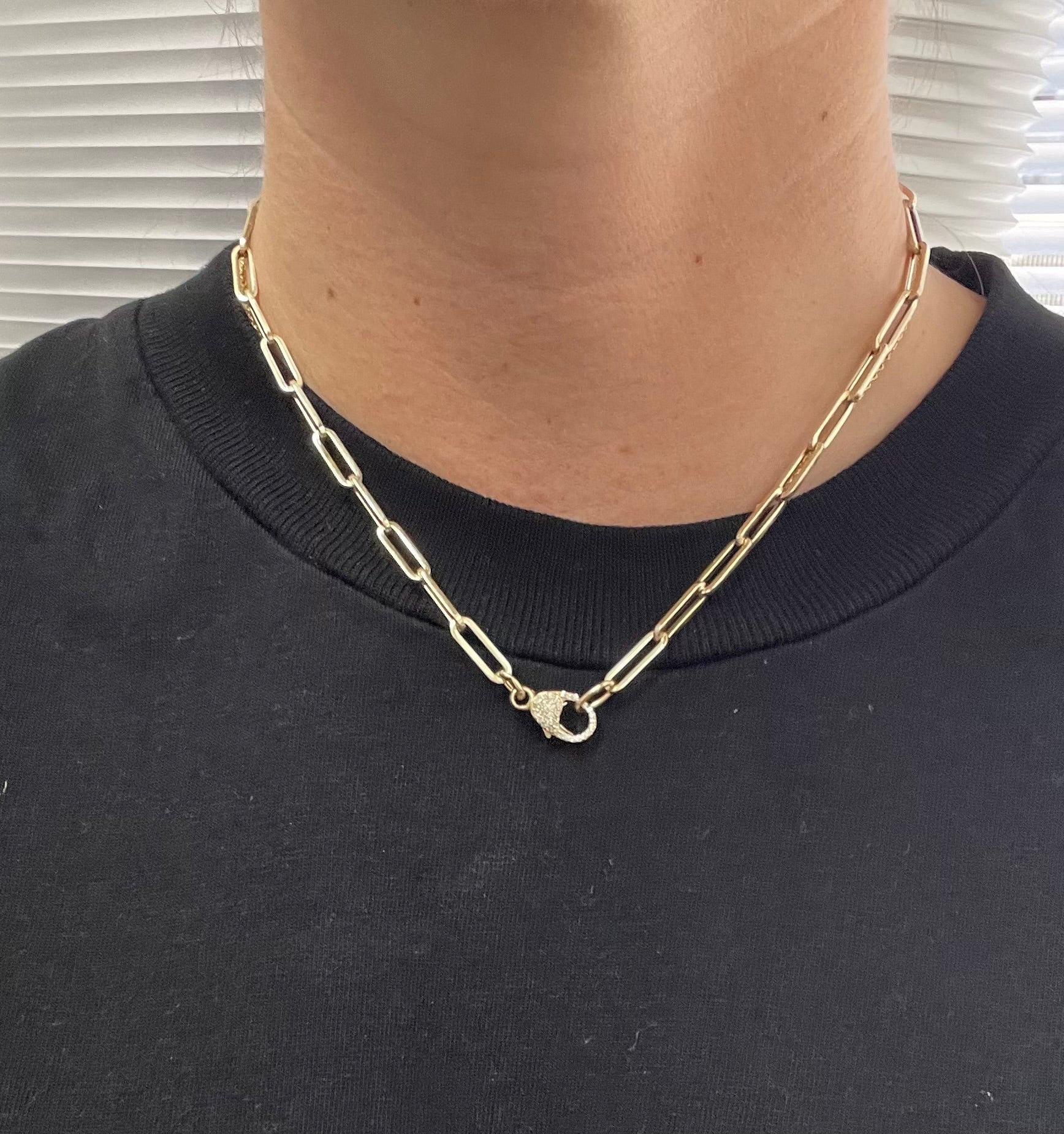 Ellipse Link Necklace with Pavé Clasp
