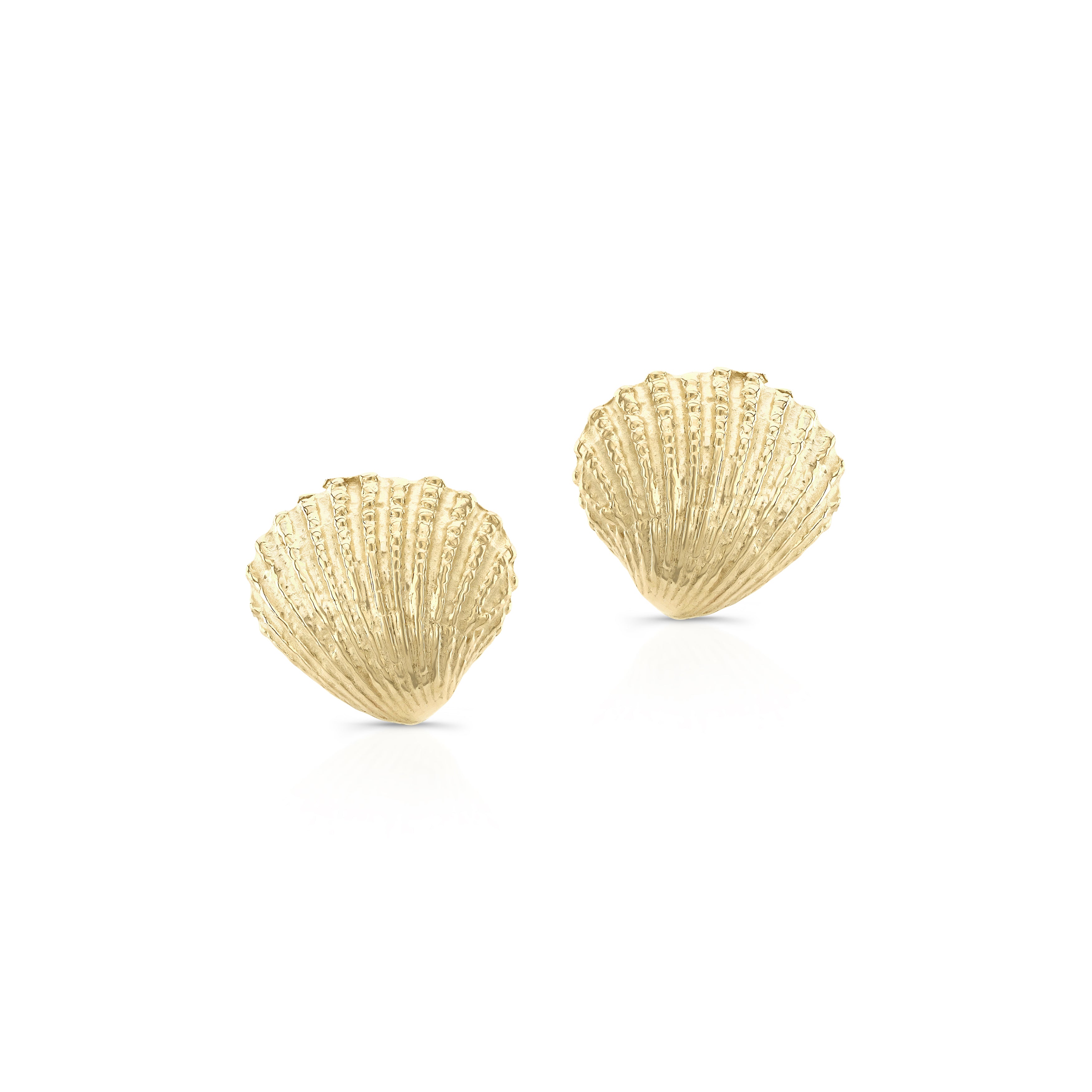 14ky gold seashell earrings