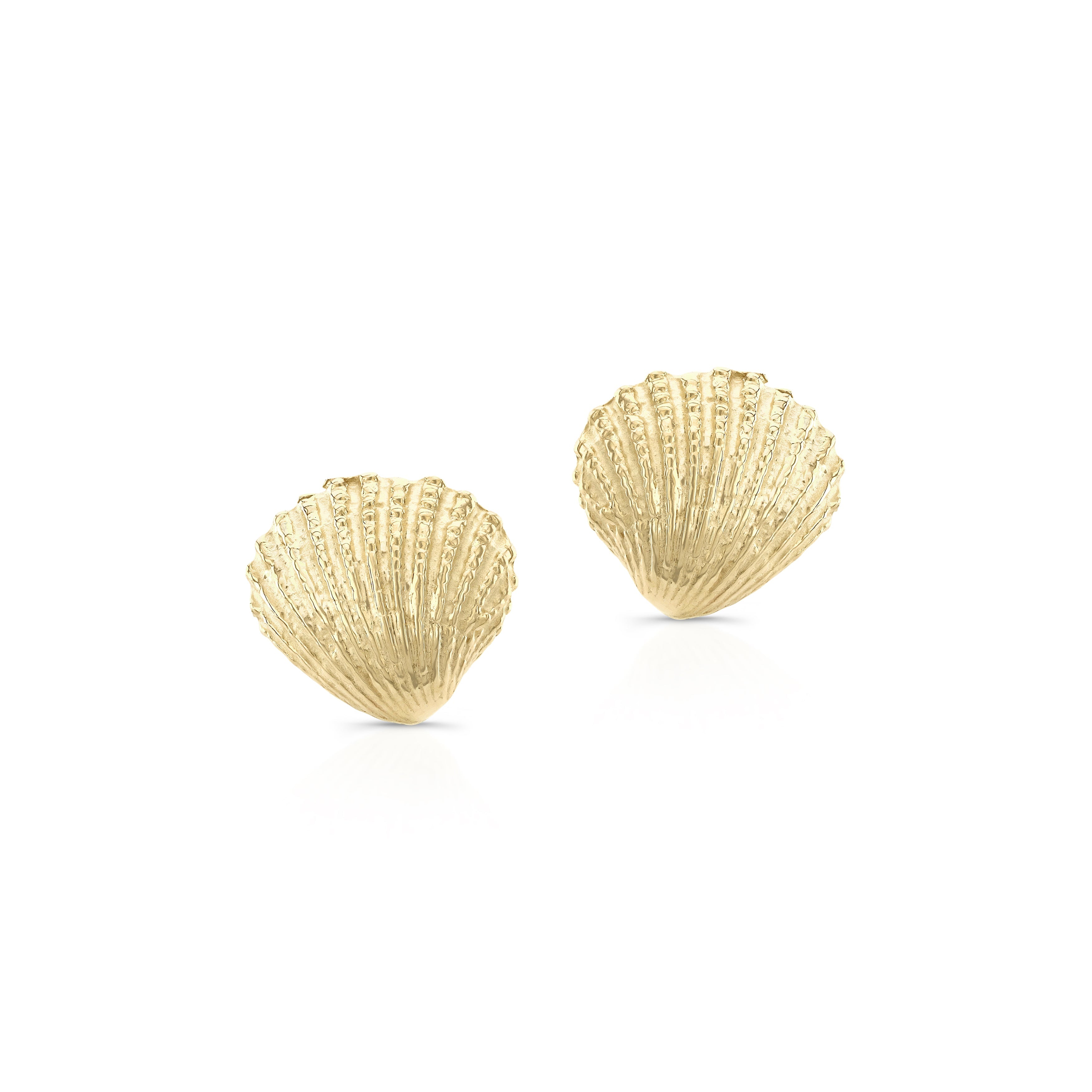 Naia Shell Studs Carter Eve Jewelry 