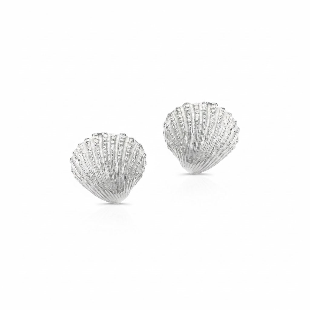 Naia Shell Studs
