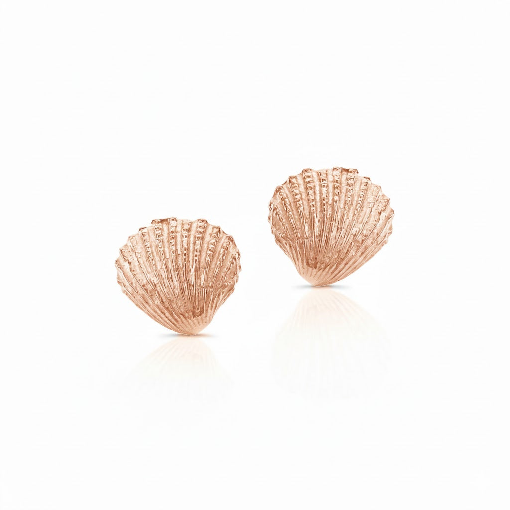 Naia Shell Studs
